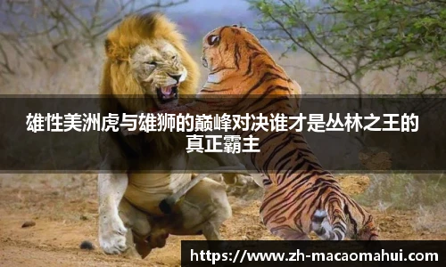 雄性美洲虎与雄狮的巅峰对决谁才是丛林之王的真正霸主